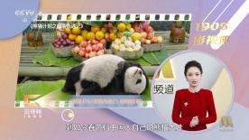中文字幕咪咪爱
